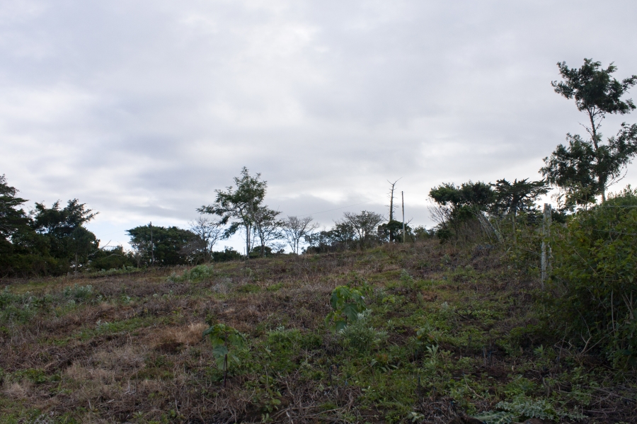 0 Bedroom Property for Sale in Bathurst Eastern Cape